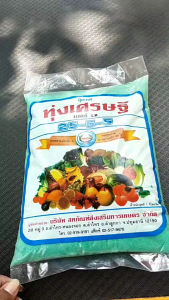 ปุ๋ยเขียว หวีทอง 25-5-5 ทุ่งเศรษฐี ขนาด 1 กิโลกรัม ปุ๋ยเกล็ด ละลายน้ําดี บํารุงใบ ต้น แตกใบอ่อน แตกกอ ปุ๋ยเย็น ละลายน้ําง่าย ไม่อุดตัน