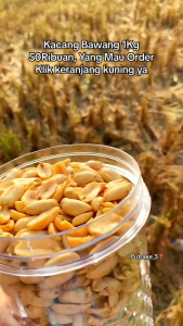 KACANG BAWANG 1KG  KACANG  BAWANG GORENG CEMILAN KESEHATAN NON KOLESTROL GURIH RENYAH