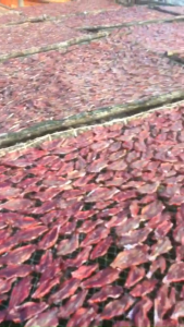 KHÔ CÁ PHÈN XẺ( KHÔ CÁ LINH) RÚT XƯƠNG VỊ VỪA ĂN - VỰA KHÔ YẾN VY