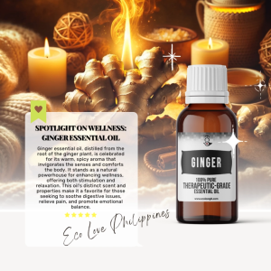 Eco Premium Ginger Essential Oil 100% Pure Therapeutic Grade Steam Distilled 100% Pure Vegan Aromatherapy