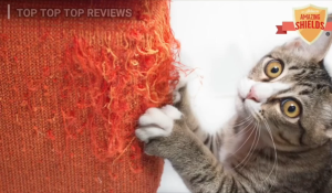 Pet Cat Scratch proof 2 pcs Anti-Scratch Board Pad Sofa Furniture Cover Protector Scratch Guard Shield