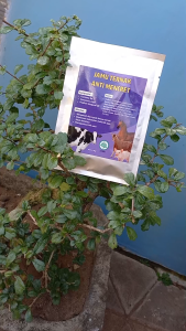 JAMU TERNAK ANTI DIARE MENCRET EFEKTIF MENYEMBUHKAN DIARE SAPI KAMBING KUDA DLL