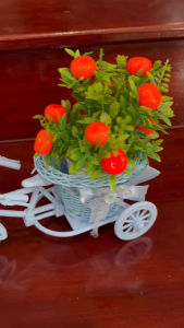 ต้นส้มปลอม (ต้นส้มพุ่มสวยๆๆ พร้อมจักรยานสีฟ้า อย่างดี ) สินค้าพร้อมส่งจากไทย ต้นส้มตกแต่ง จักรยานวินเทจงานสวยมากๆๆ