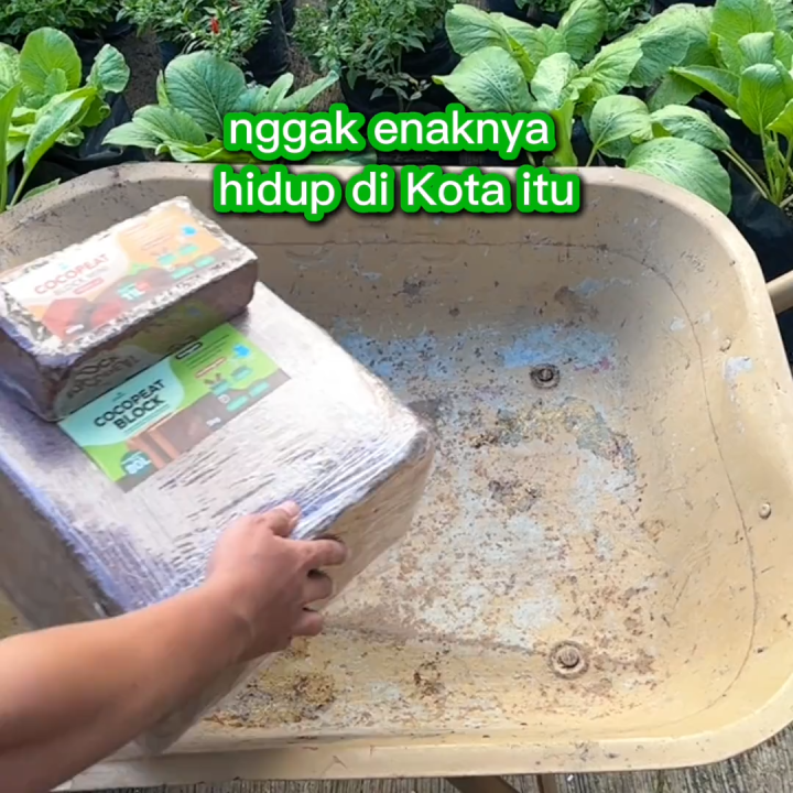 INFARM - Media Tanam Cocopeat Block 5 KG Halus dan Mengembang