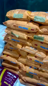 PELET 500 GRAM PRIMA FEED PF 0 100 200 500 800 1000 PAKAN BENIH IKAN BURAYAK 500G GUPPY CUPANG MENGAPUNG FLOATING MOLLY BETTA MOLY DLL