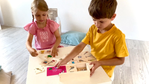 [อายุ 3+] เกมจับคู่สัมพันธ์ (Cognito Categories) [Beleduc]