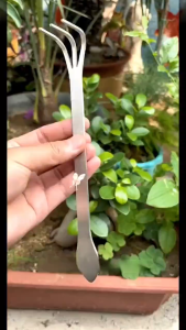 Stainless Steel Root Rake 3-Prong Loosen Soil Bonsai Tree Tools with Ergonomic Handle