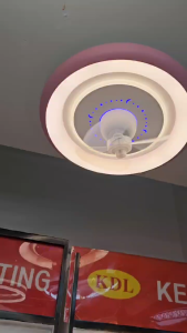 LED Fan Light Ceiling Fan Cooler Stepless Dimming&Remote Bedroom 80W AC240V【3 Wind Speed+BICOLOR AMBIENT LIGHT】