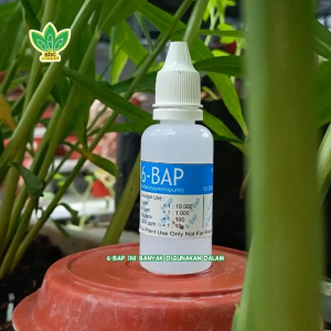 6-BAP 6-Benzylaminopurin 30ml - Memperbanyak Rimpang & Tunas Lateral