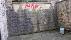 500 Gr - Bột tẩy rong rêu loại thông dụng - Tẩy sân xi măng bậc thềm bờ tường