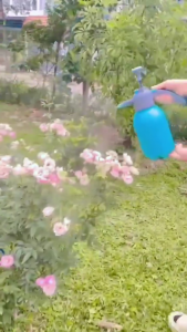 Bình Xịt Nước Tưới Cây Cảnh Cầm Tay Dung Tích 3l Thiết Kế Van Xả Áp có cần dài.