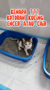 Obat anti diare mencret kucing mengatasi gangguan pencernaan dan vitamin u penambah nafsu makan kucing kitten 60ml
