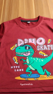 Baju Kaos Harian Anak Laki Laki Karakter Dinosaurus Keren Import 1 - 10 Tahun - Hypelane - DTF2