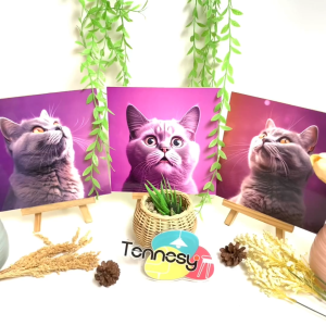 TENNESY Hiasan Dinding Kucing Lucu Asthetic Cat 20x20CM Dekorasi Kamar Tidur Aesthetic Pajangan Kayu