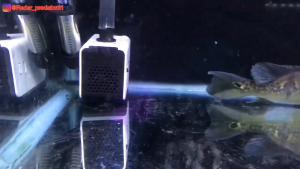 Pompa Air Celup Amara AM 103 Filter Aquarium Kolam Ikan Aquascape 103