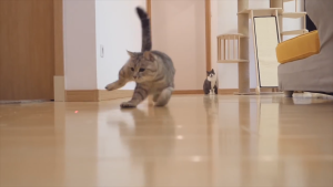 WaggyWaggy Cat Laser Pointer Pen UV LED Flash Light Toy Play Teaser Mainan Kucing 爆款充电红外线逗猫笔 T0012