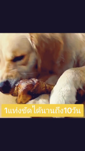 กระดูกวัวแท่งใหญ่ สำหรับสุนัขแทะฟัน เคี้ยว กัด เล่น ขนมสุนัข และกระดูกเนื้อวัวแท้