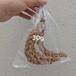 KÊ CHÙM Cho Vẹt Chim Hamster Sóc... và Dùng Tắm Bé Khi Ngứa Rôm Sẩy (30g 50g 100g)