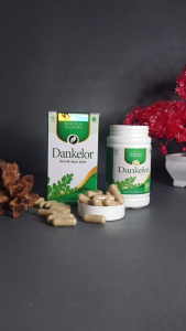Obat Anemia Badan Lemas Vertigo Hb Kurang Darah Sakit Kepala Pusing tujuh Keliling Ekstrak Daun Kelor Dankelor