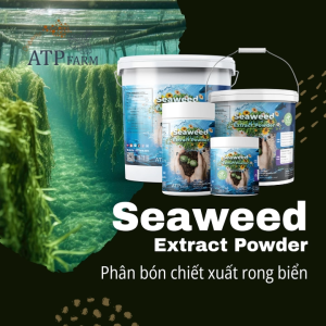 ATP Farm - Seaweed extract powder : Phân bón chiết xuất rong biển dạng bột hữu cơ nhập khẩu ICL - Israel - Lazada