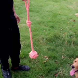 PE-1162 เชือกกัดของเล่นสุนัข สีพาสเทล น่ารัก แข็งแรง เหมาะสำหรับสุนัขพันธุ์เล็ก-กลาง ของเล่นหมา ราคาถูก พร้อมส่ง🦮