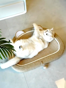 Cats Paw Basin Cat Scratch Board Woven Sisal Mat Scratch-Resistant Wear-Resistant Anti-Dandruff Play Sleep All-in-One