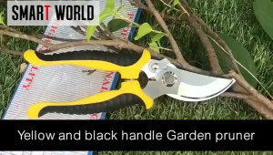 【BHQ&HOME】SK5 กรรไกรแต่งกิ่ง กรรไกรสแตนเลส กรรไกรสำหรับตัดแต่งกิ่งไม้ ดอกไม้ เครื่องมือจัดทำสวน