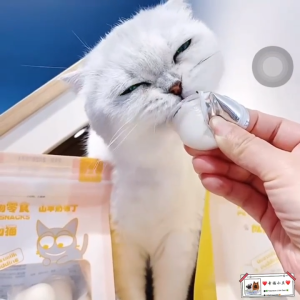 Both Goat Milk Pudding Dog Cat Hamster Treat Pet Snack 15g