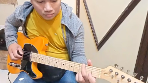 telecaster molly electric guitar