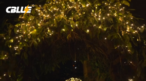 CBLUE Christmas Solar Light LED 12M Waterproof String Garlands Fairy Light Holiday Outdoor Fairy Decoration