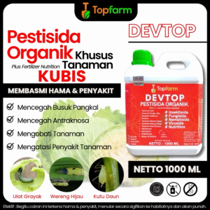 Obat Racun Untuk Ulat Kubis / Obat Pembasmi Ulat Kubis / Obat Ulat Kubis / Insektisida Pembasmi Ulat Kubis / Insektisida Untuk Tanaman Kubis / Obat Ulat Untuk Tanaman Kubis / Obat Ulat Kubis Ampuh