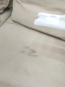 ไม้ถู ทิชชู่ ใช้แล้วทิ้งได้เลย ไม่ต้องซักล้างให้เปลืองแรง กระดาษทิชชู่แห้ง ไม้ม็อบดันฝุ่น เช็ดทำความสะอาด ผ้ารีฟิลถูพื้น