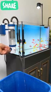 LỌC TREO SUNSUN YBF  HÚT MẶT VÀ HÚT ĐÁY CÓ THÊM KHOANG TÁCH PHÂN MỒI NƯỚC BÊN NGOÀI VÀ CÓ THỂ CHỈNH TO NHỎ