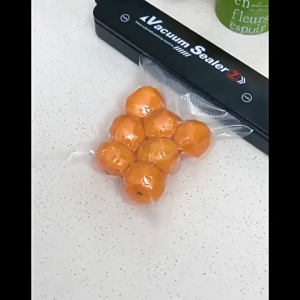 Alat Vacum Makanan Frozen Mesin Press Plastik / Alat Penyegel Kemasan Vacuum Sealer / Alat Vakum Buah Mesin Press Plastik / Alat Vakum Daging Mesin Press Plastik / Pensteril Makanan ~ Bro