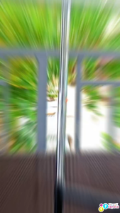 3 Pcs Single Short for Boys Newborn to Toddler Casual Clothing Pranela Soft Cotton Set up to 7 Years Old