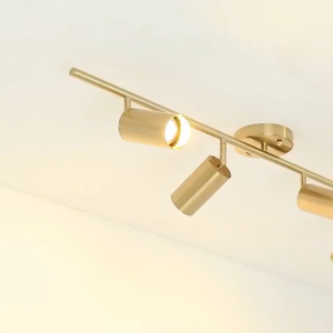Shop LED Spot Light Showroom Gold Spotlight Easy Install Multi Head Living Mounted Track Lamp