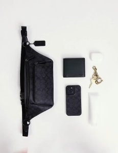 CT757 CU985 CT759 Andrea Small Shoulder Bag Women Crossbody Sling Handbag