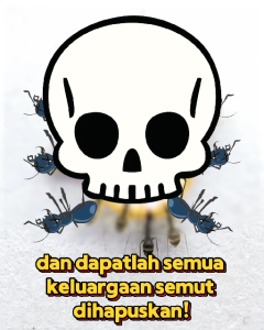 Mangzor Umpan Gel Semut Ant Insecticide Bait Ant Killer Gel Bait 蚂蚁诱杀胶饵