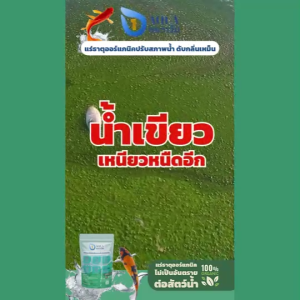 อควาวัน Aqua1 แร่ธาตุปรับปรุงคุณภาพน้ำ และช่วยดับกลิ่นเหม็น (ชนิดผง)