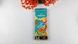 Cat Acrylic Set 12warna Cat Akrilik Kanvas Montana