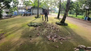 IFONSEN 2988VF Leaf Blower Cordless Air Blower Powerful Heavy Duty Blower Angin Snow Dust Sweeper Garden Tools