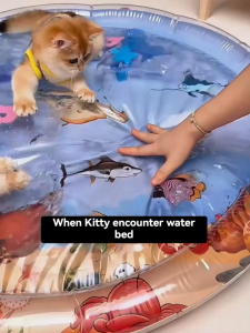 Lovinland Cat Mat Water Cooling Mat Thickened Sensor Play Water Sensor Cats Dog Mat Pet Supplies Cleaning Cooling Mat Summer Cat Pets Accessories Portable Inflatable Baby Water Play Mat