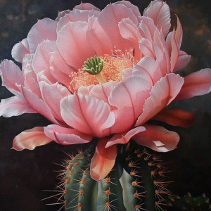 Tranh phong thủy hoa sương rồng tranh treo tường tranh dán tường tranh sơn dầu in canvas. CGI - 538