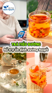 5-10 set Trà hỗ trợ tiểu đường mix set (Kỳ tử cỏ ngọt nấm linh chi mướp đắng táo đỏ nụ hoa tam thất) - Thảo Dược Hạnh Nguyên