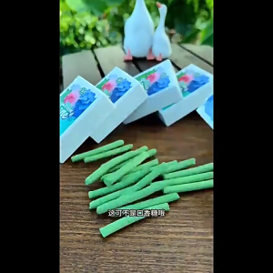 新款 通用植物养花肥料 缓释肥 棒状营养肥 New Generation Slow Release Fertilizer Stick Balance Nutrition