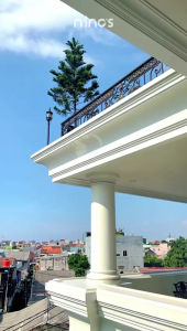 Shasmira Dress Ninos Design