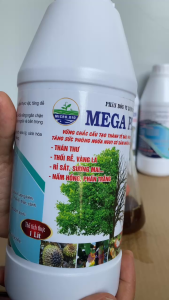 MEGA POWER Chế Phẩm Sinh Học Trừ Bệnh cho Cây Trồng Thán Thư Thối Nhũn Rỉ Sắt Sương Mai -1 Lít