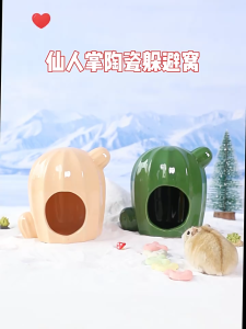 Nhà sứ xương rồng dành cho hamster - T3 PETS SHOP