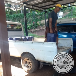 Pakan Konsentrat Tinggi Protein untuk Ayam, Bebek, Sapi, Domba & Kambing