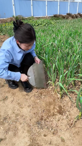 เสียมกึ่งมีดสแตนเลสพรีเมียม สำหรับปลูกต้นไม้และสวนผัก พลั่วขุดดิน ทนทาน ไม่มีวันหมดอายุ